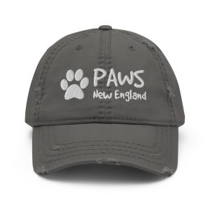 PAWS Embroidered Weathered Hat