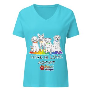 Limited Edition - Pride V-Neck Tee