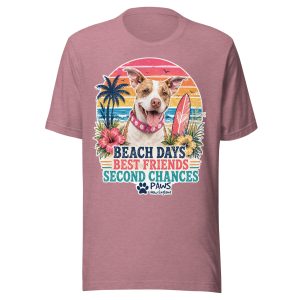 Limited Edition - Beach Days, Best Friends & Second Chances Tee